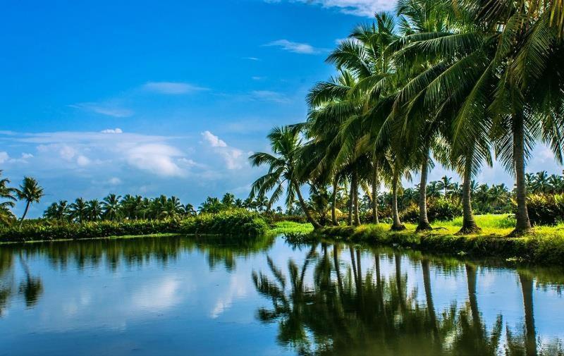 Sea Breeze Beach Home Alappuzha Exterior photo